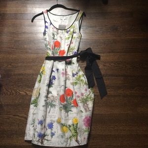Anthropologie Botanical Dress