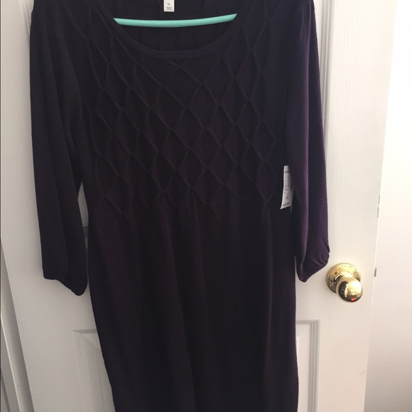 Brand New Dress Barn Size XL plum sweater dress