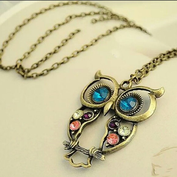 Jewelry - Cute Owl Sweater Necklace