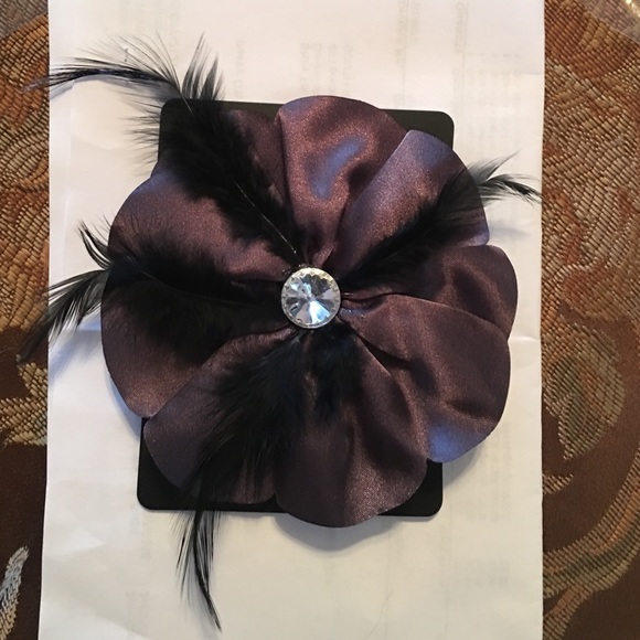 Paparazzi black hair clip with feather accents