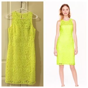 JCrew Lace Sheath Dress