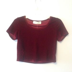 Gypsy Warrior Velvet Crop Top