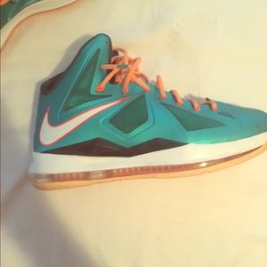 Lebron 11 dolphins