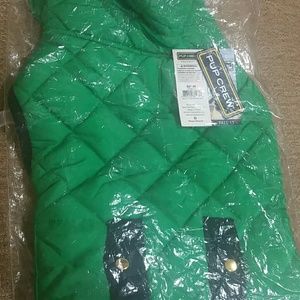 Pup crew Jacket for dog