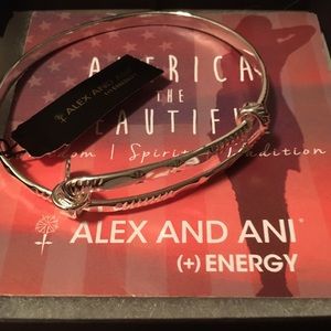 NWT Alex and Ani Silver Chunky Amber Waves Bangle