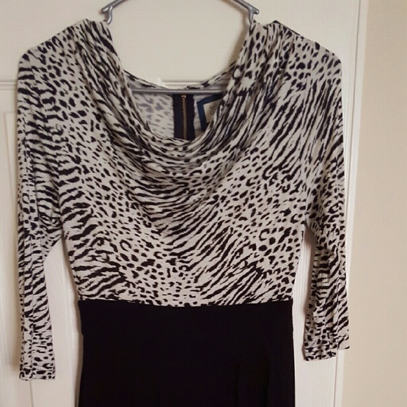 Spicey with Leopard print