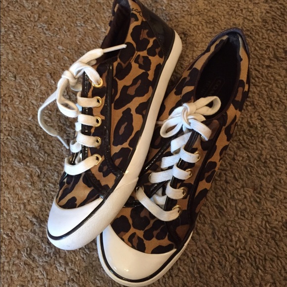 Coach sneakers