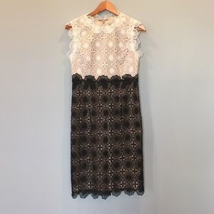 Anthropologie lace dress with nude lining