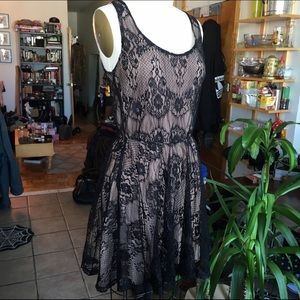 NWOT Beige Skater Dress w Black Lace Overlay sz S