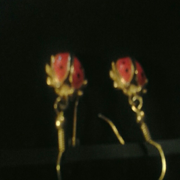 Jewlrey  Earrings  NWOT. - Picture 3 of 3