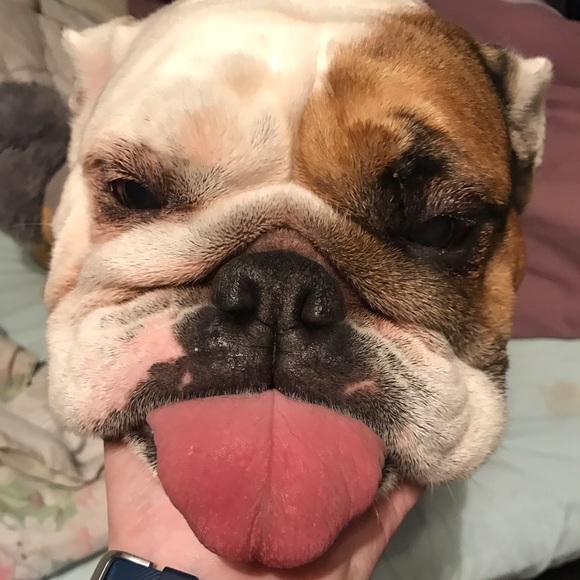 Meet Your Posher - Picture 2 of 4