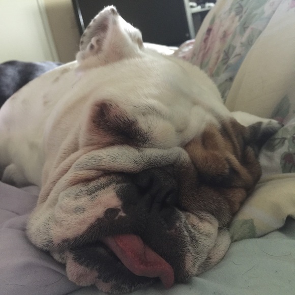 Meet Your Posher - Picture 3 of 4