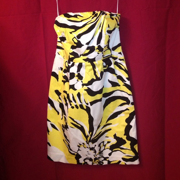 Express Design Studio Dress