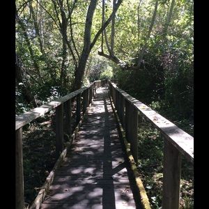 Meet your Posher, Suezane