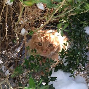 Meet your Posher, Casey