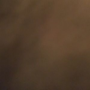 Meet your Posher, Joya