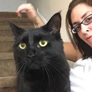 Meet your Posher, Erica