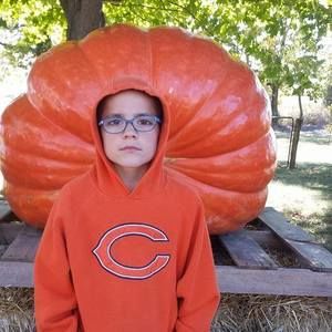 Meet your Posher, Dylan