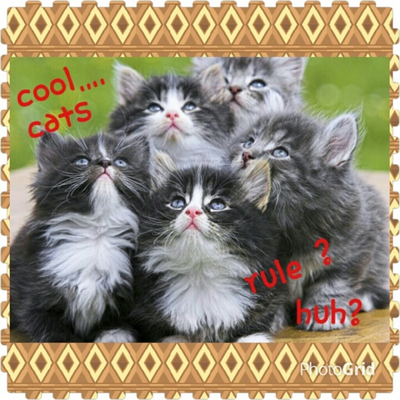 FG(NEW GOAL)175 K!!!!!🍷🍸 - Picture 3 of 3