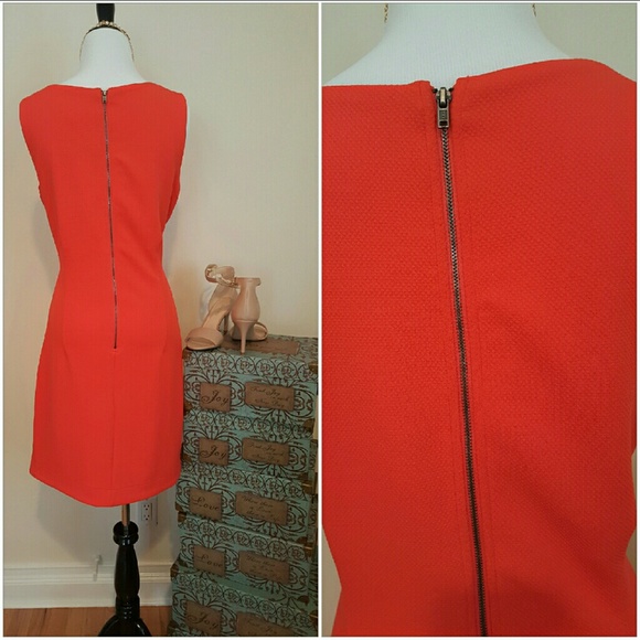 🌺SOLD🌺NEW exposed zipper up back dress - Picture 2 of 4