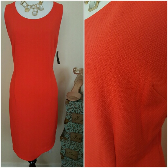 🌺SOLD🌺NEW exposed zipper up back dress - Picture 3 of 4