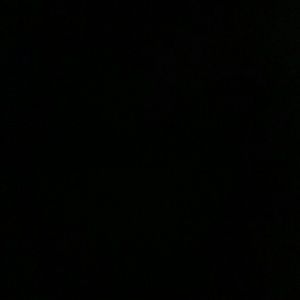 Meet your Posher, Hilsa