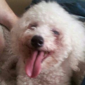 Meet your Posher, Michael