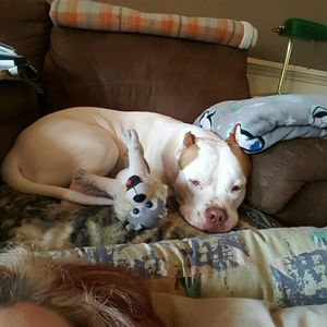 Meet your Posher, Casey