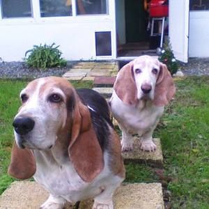 Meet your Posher, Terrie