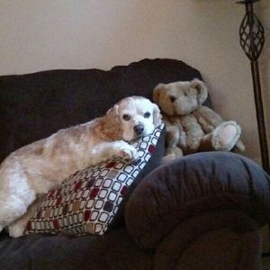 Meet your Posher, Lori