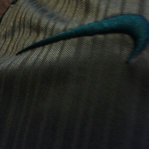 Meet your Posher, Barbara