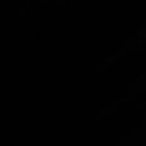 Meet your Posher, Fausto