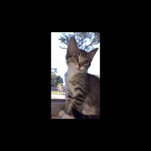 Meet your Posher, Haley