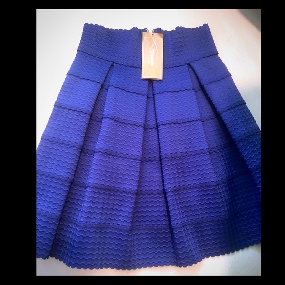 Francesca's boutique skirt