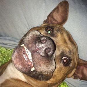 Meet your Posher, Audrey