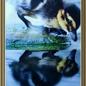 Meet your Posher, Kitty