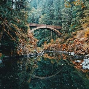 Meet your Posher, Wesley