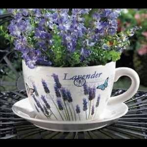 Meet your Posher, Helen