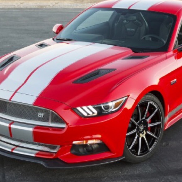 Meet your Posher, Andrew - Picture 1 of 1