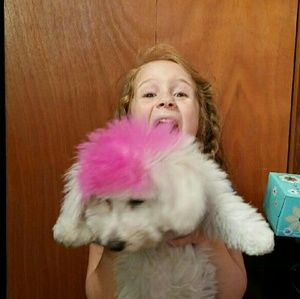 Meet your Posher, Alec