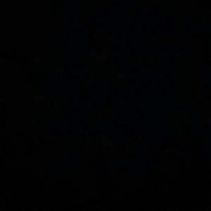 Meet your Posher, Lee