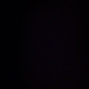 Meet your Posher, Griffin