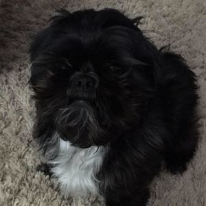 Meet your Posher, Kathy