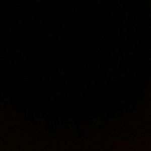 Meet your Posher, Elise