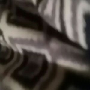 Meet your Posher, Colin