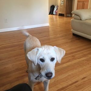 Meet your Posher, Ting