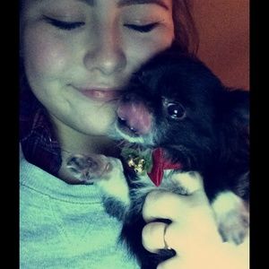 Meet your Posher, Izzy