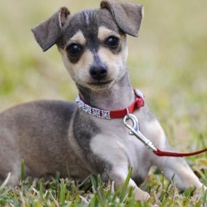 Meet your Posher, Brittany