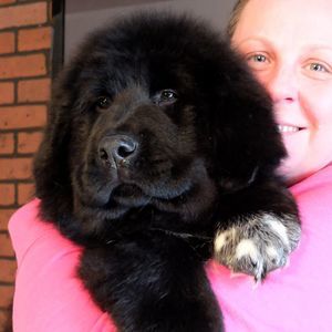 Meet your Posher, Roisin