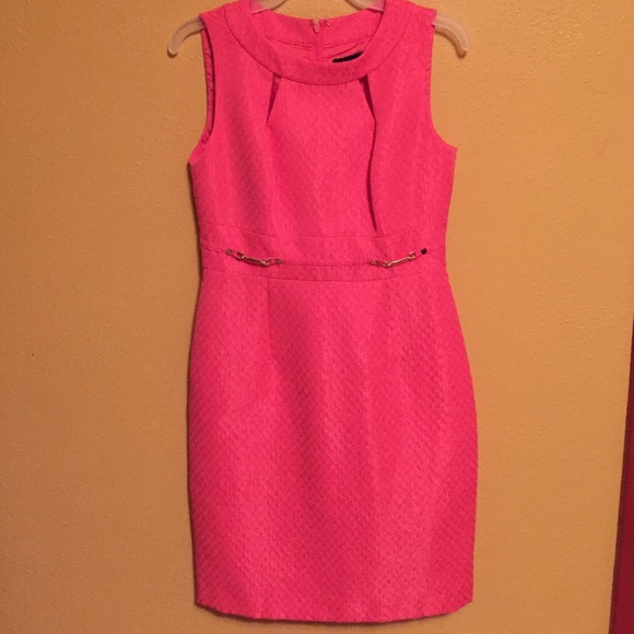 Tahari Arthur Levine Dress